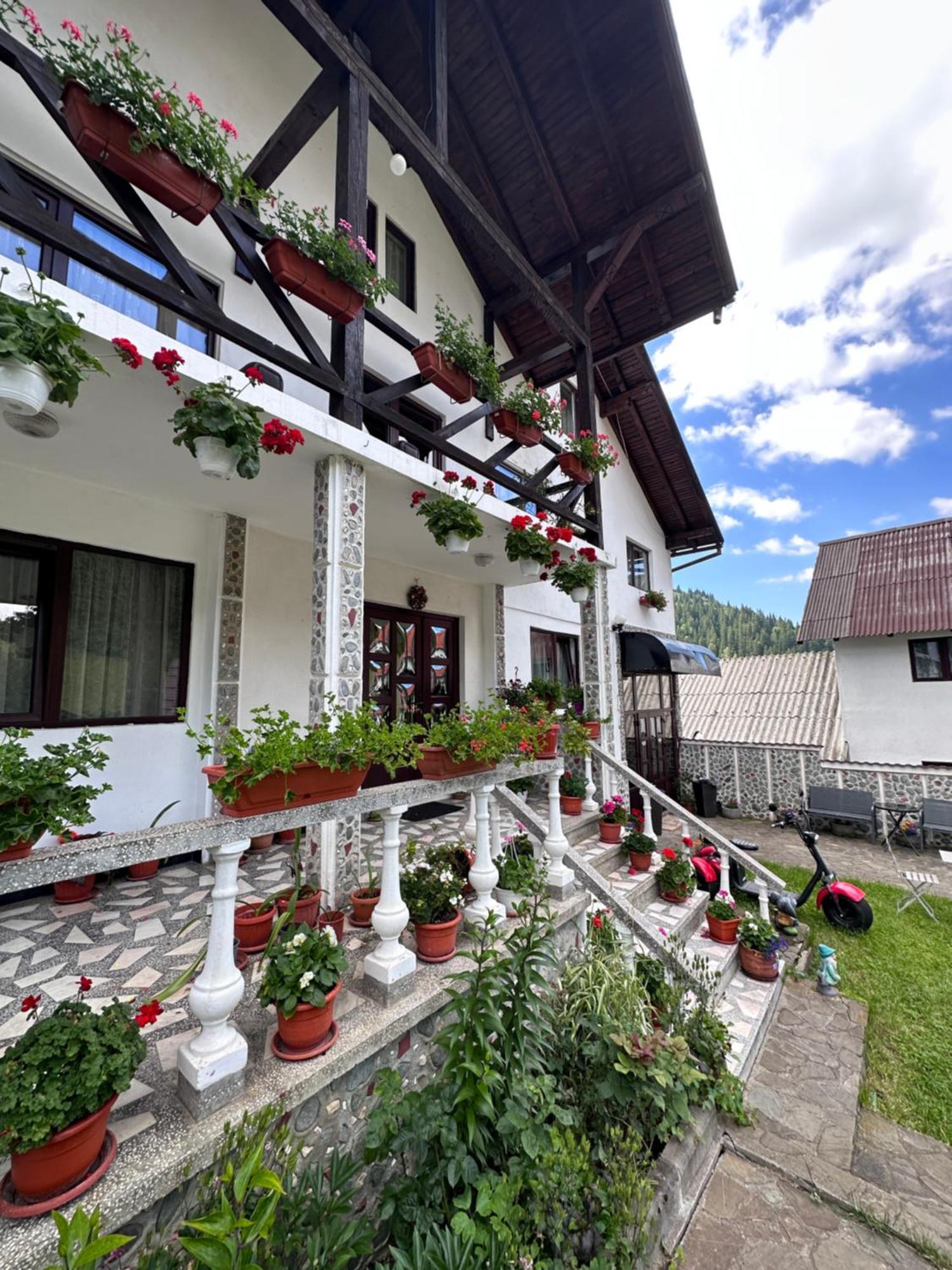 Pensiunea Rodica Moeciu De Sus Exterior photo